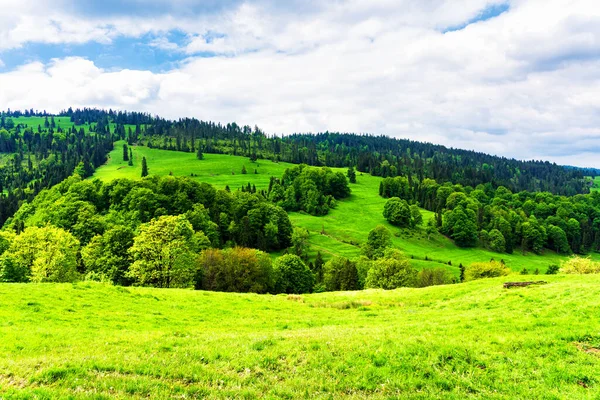 Primavera Parque Nacional Pieniny Polonia Paisaje Las Montañas Polacas Día —  Fotos de Stock