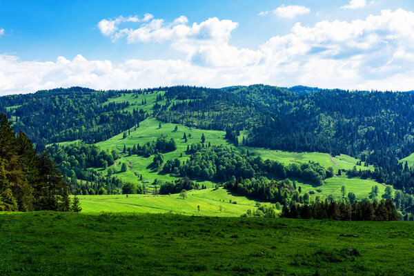 Spring day in Pieniny National Park, Poland. Landscape of Polish mountains on a warm and sunny day
