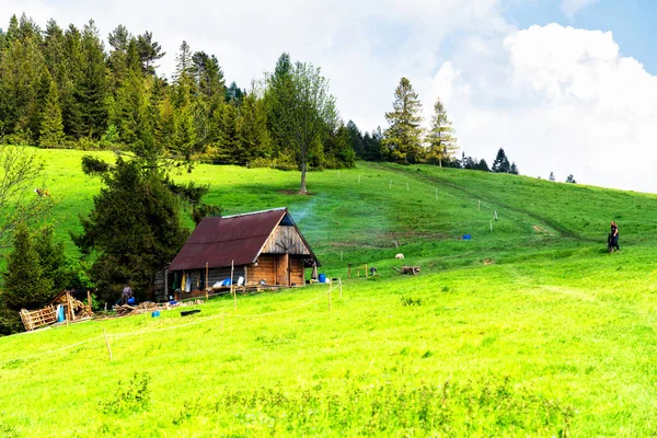 Jaworki ポーランド 2019年6月2日 山の景色の中にある羊飼い小屋 Pieninine山の草原や森のパノラマ カルパティア山脈の風景 ポーランド — ストック写真