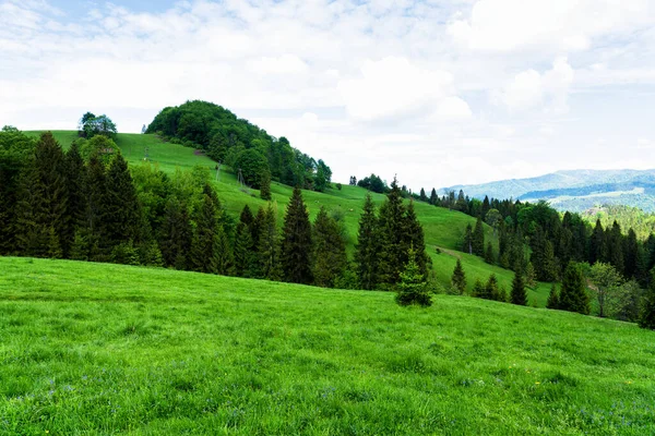 Tavaszi Nap Pieniny Nemzeti Parkban Lengyelországban Tájkép Lengyel Hegyek Egy — Stock Fotó