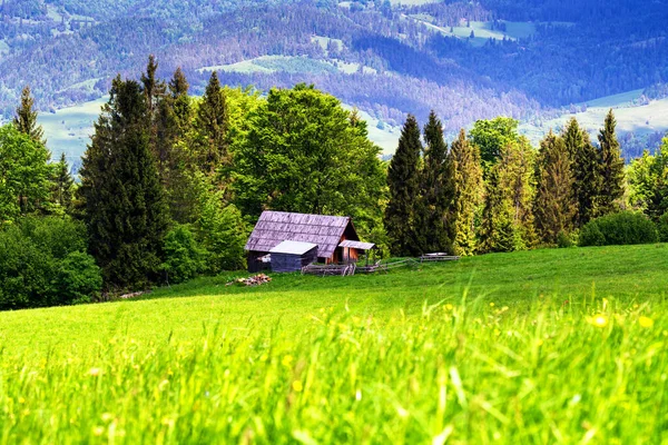 Mountains scenery. Panorama of grassland and forest in Pieniny mountains. Carpathian mountains landscape, Poland