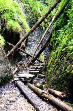 Slovak Paradise Ulusal Parkı, Slovakya. İzler nehir yatağında devrilen ağaçların ve kaldırılan merdivenlerin arasında.