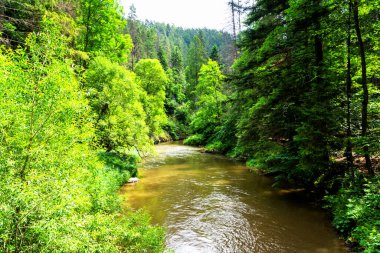 Prielom Hornadu, Hornad vadisi, Slovensky Raj - Slovakya Cenneti, Slovakya, Batı Karpatlar
