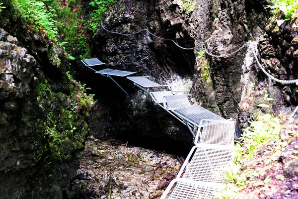 Σλοβακικό Εθνικό Πάρκο Paradise Σλοβακία Μονοπάτι Πηγαίνει Στην Κοίτη Του — Φωτογραφία Αρχείου