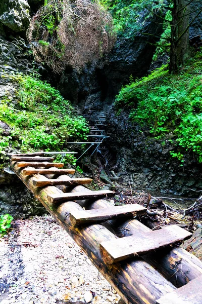 Slovak Paradise National Park Slovakia Trail Goes River Bed Fallen — Stock Photo, Image
