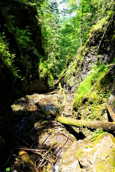 Slovak Paradise National Park Eslováquia — Fotografia de Stock