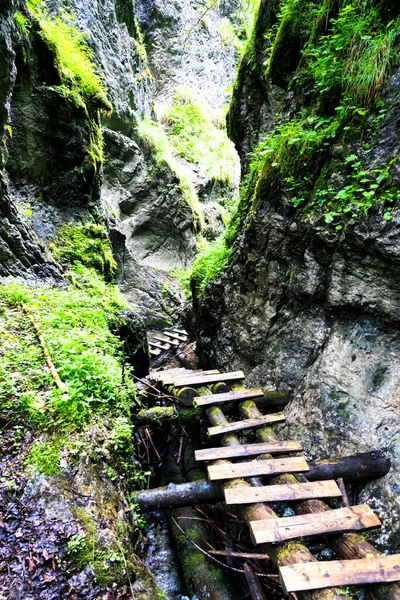 Parc National Paradis Slovaque Slovaquie Sentier Sur Lit Rivière Parmi — Photo