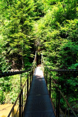 Prielom Hornadu, Hornad vadisi, Slovensky Raj - Slovakya Cenneti, Slovakya, Batı Karpatlar