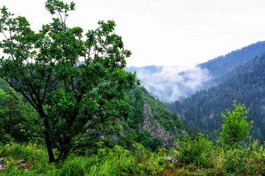 Slovakya 'daki Slovak Paradise Ulusal Parkı' ndan manzara