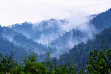 Slovakya 'daki Slovak Paradise Ulusal Parkı' ndan manzara