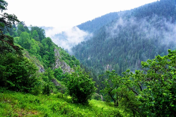 Vista Panorámica Desde Sendero Parque Nacional Slovak Paradise Eslovaquia — Foto de Stock