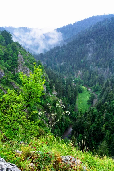 Malerische Aussicht Von Einem Pfad Nationalpark Slowakisches Paradies Slowakei — Stockfoto