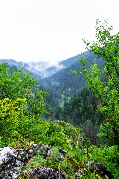 Scénický Pohled Stezky Národním Parku Slovenský Ráj Slovensko — Stock fotografie