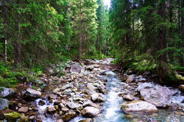 Yüksek Tatras Dağları (Vysoke Tatry, Tatry Wysokie, Magas-Tatra), Polonya 'nın güneyinde, Presov bölgesinde Slovakya sınırı boyunca uzanan bir sıradağdır..