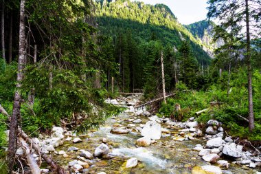 Yüksek Tatras Dağları (Vysoke Tatry, Tatry Wysokie, Magas-Tatra), Polonya 'nın güneyinde, Presov bölgesinde Slovakya sınırı boyunca uzanan bir sıradağdır..