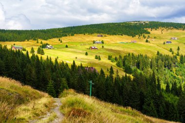 Polonya ve Çek Cumhuriyeti sınırındaki Karkonosze (Krkonose) dağları ve yürüyüş yolları manzarası. Güzel manzaralı yaz manzarası. Spindlerov Mlyn popüler bir turistik yerdir.