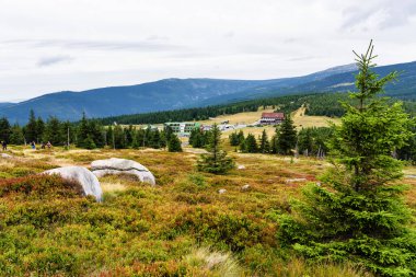 Polonya 'daki Odrodzenie Dağı Karkonosze Dağları Ulusal Parkı. (Çekçe Krkonose) ve Sudetes dağlarının bir kısmı.