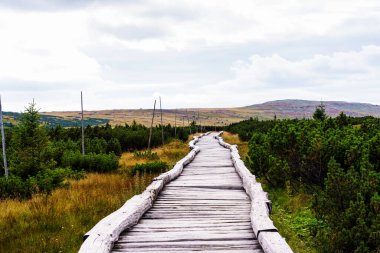 Polonya ve Çek Cumhuriyeti sınırında yürüyüş yolları ve Karkonosze (Krkonose) dağlarının ulusal parkı görülüyor. Güzel manzaralı güzel yaz manzarası.