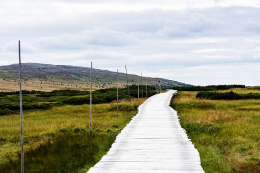 Polonya ve Çek Cumhuriyeti sınırında yürüyüş yolları ve Karkonosze (Krkonose) dağlarının ulusal parkı görülüyor. Güzel manzaralı güzel yaz manzarası.