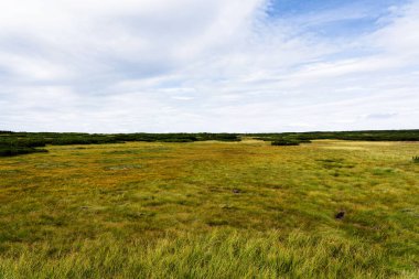 Polonya ve Çek Cumhuriyeti sınırında yürüyüş yolları ve Karkonosze (Krkonose) dağlarının ulusal parkı görülüyor. Güzel manzaralı güzel yaz manzarası.