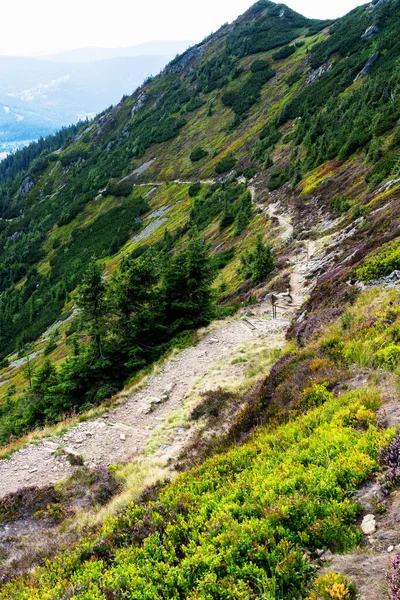 Utsikt Över Vandringsleder Och Karkonosze Krkonose Berg Nationalpark Vid Polen — Stockfoto