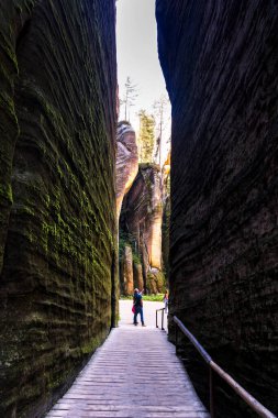 Adrspach Teplice Ulusal Parkı. Çek Cumhuriyeti 'nde kum taşı tepeleri ve oluşumlarından oluşan kaya kasabası