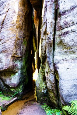 Adrspach Teplice Ulusal Parkı. Çek Cumhuriyeti 'nde kum taşı tepeleri ve oluşumlarından oluşan kaya kasabası