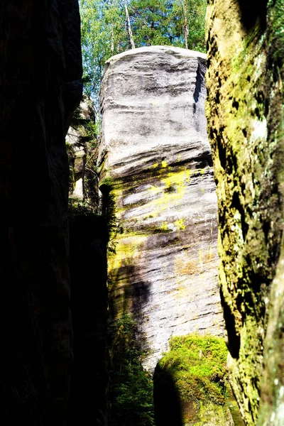 Park Narodowy Adrspach Teplice Rock Miasto Piaskowcowych Skał Szczyty Formacje — Zdjęcie stockowe