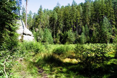 Adrspach Teplice Ulusal Parkı. Çek Cumhuriyeti 'nde kum taşı tepeleri ve oluşumlarından oluşan kaya kasabası