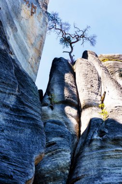 Adrspach Teplice Ulusal Parkı. Çek Cumhuriyeti 'nde kum taşı tepeleri ve oluşumlarından oluşan kaya kasabası