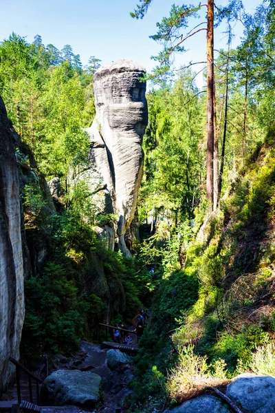 Park Narodowy Adrspach Teplice Rock Miasto Piaskowcowych Skał Szczyty Formacje — Zdjęcie stockowe