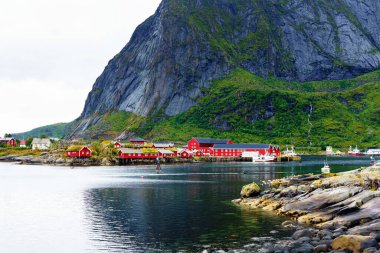 Reine, Lofoten, Norveç. Güneşli, mavi gökyüzünün altındaki Reine köyünde tipik rorbu evleri var..
