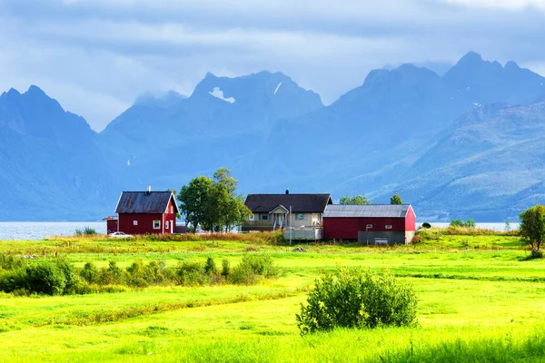 Una Vista Típica Bahía Lofoten Escena Hermoso Día Idílico Con — Foto de Stock