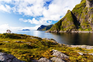 Tipik bir Lofoten Körfezi manzarası. Güzel bir günün sahnesi. Lofoten Adaları dünyanın dört bir yanından gelen insanlar için popüler bir turizm merkezidir ve hala popülerlik kazanmaktadır. Norveç Avrupa