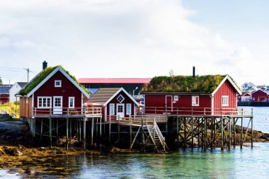 Tipik kırmızı bir evi olan Norveç kıyı manzarası. Tahta kırmızı evlere 