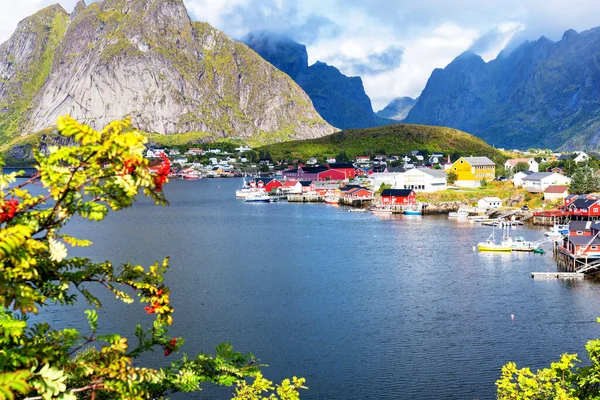 Reine Lofoten Norvège Village Reine Sous Ciel Bleu Ensoleillé Avec — Photo