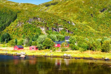 Tipik kırmızı bir evi olan Norveç kıyı manzarası. Tahta kırmızı evlere 