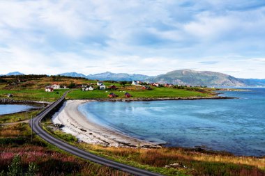 Tipik kırmızı evleri olan Norveç kıyı manzarası. Tahta kırmızı evlere 
