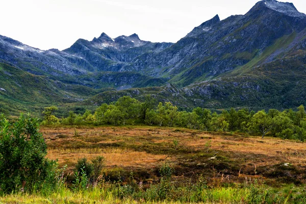 Herbstfarben Den Norwegischen Bergen Troms Finnmark Norwegen — Stockfoto