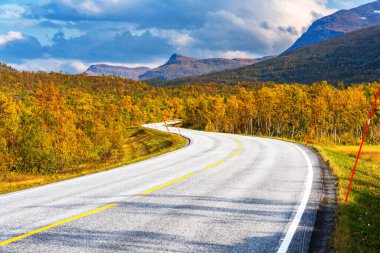 Norveç 'in Lofoten Adası' ndaki güzel dağ manzaralı sonbahar boyunca manzaralı asfalt yol. Yolculuk, seyahat, tatil, macera kavramı.
