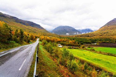 Kuzey Norveç 'te Tamok Vadisi (Tamokdalen), bulutlu bir günde sonbaharın başlarında.