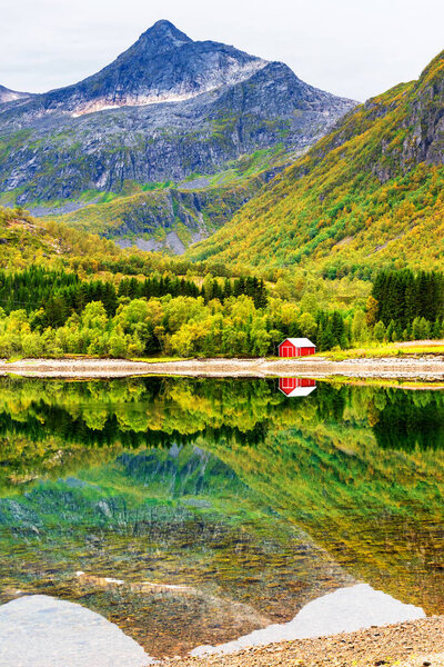 Small red wooden hut on a rocky beach in Lofoten, Norway. Grass in front and reflections in a small pond of water in front of the house.