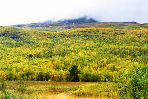 Долина Тык Тамокдаун Севере Норвегии Ранней Осенью Пасмурный День — стоковое фото