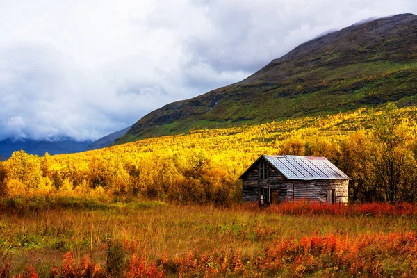 Sezonowy Letni Domek Tamok Valley Norwegia Pochmurny Jesienny Dzień — Zdjęcie stockowe