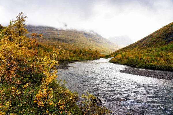 Acqua Sfocata Che Scorre Attraverso Foresta Decidua Nel Nord Della — Foto Stock