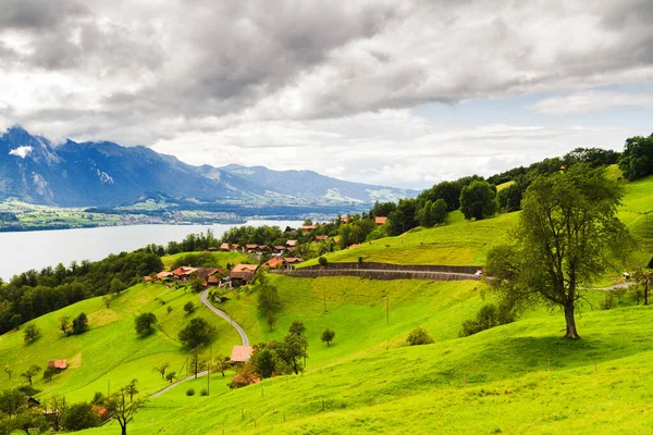 Panoramiczny Widok Jezioro Thun Szwajcaria — Zdjęcie stockowe