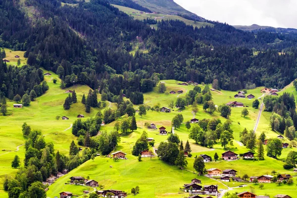 Valley in Grindelwald, Switzerland