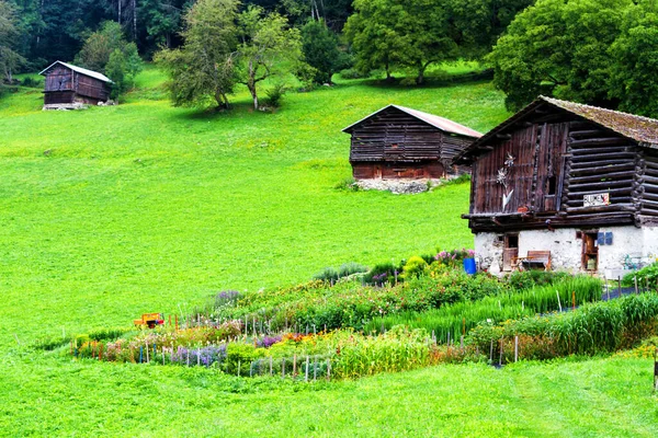 Grigioni Canton Ελβετια Αυγουστου Ξύλινη Καλύβα Στο Μικρό Ορεινό Χωριό — Φωτογραφία Αρχείου