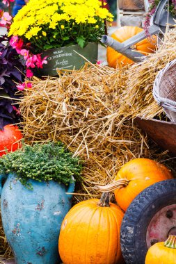 Hasat festivalindeki renkli sergilerden biri olan Goczalkowice, Polonya (Silezya).