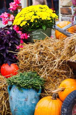 Hasat festivalindeki renkli sergilerden biri olan Goczalkowice, Polonya (Silezya).